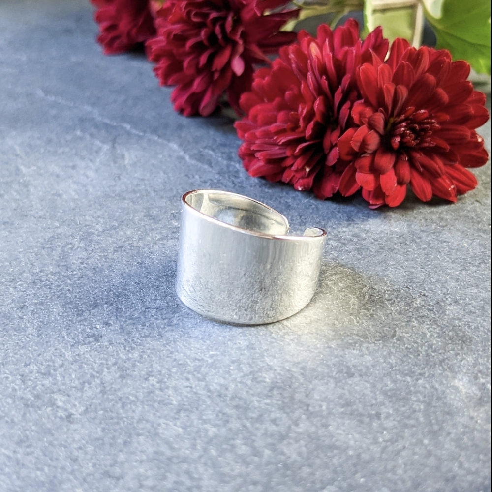 🦋LAST🦋 NWT Honeycat Thick Silver Wrap Ring
